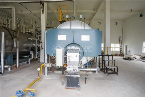 6噸燃生物質(zhì)導熱油鍋爐哪個更省錢一點